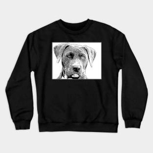 Pit Bull Stamp Crewneck Sweatshirt